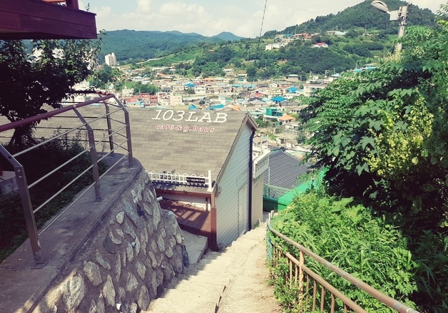 이젠 '묵호가는 기차'가 대세…SNS·KTX 타고 날아오르는 묵호