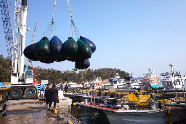 진도 김, 친환경 국제표준 인증 취득