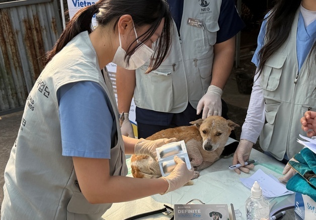 녹십자수의약품, 베트남 동물의료봉사 후원…"원헬스 가치 실현"