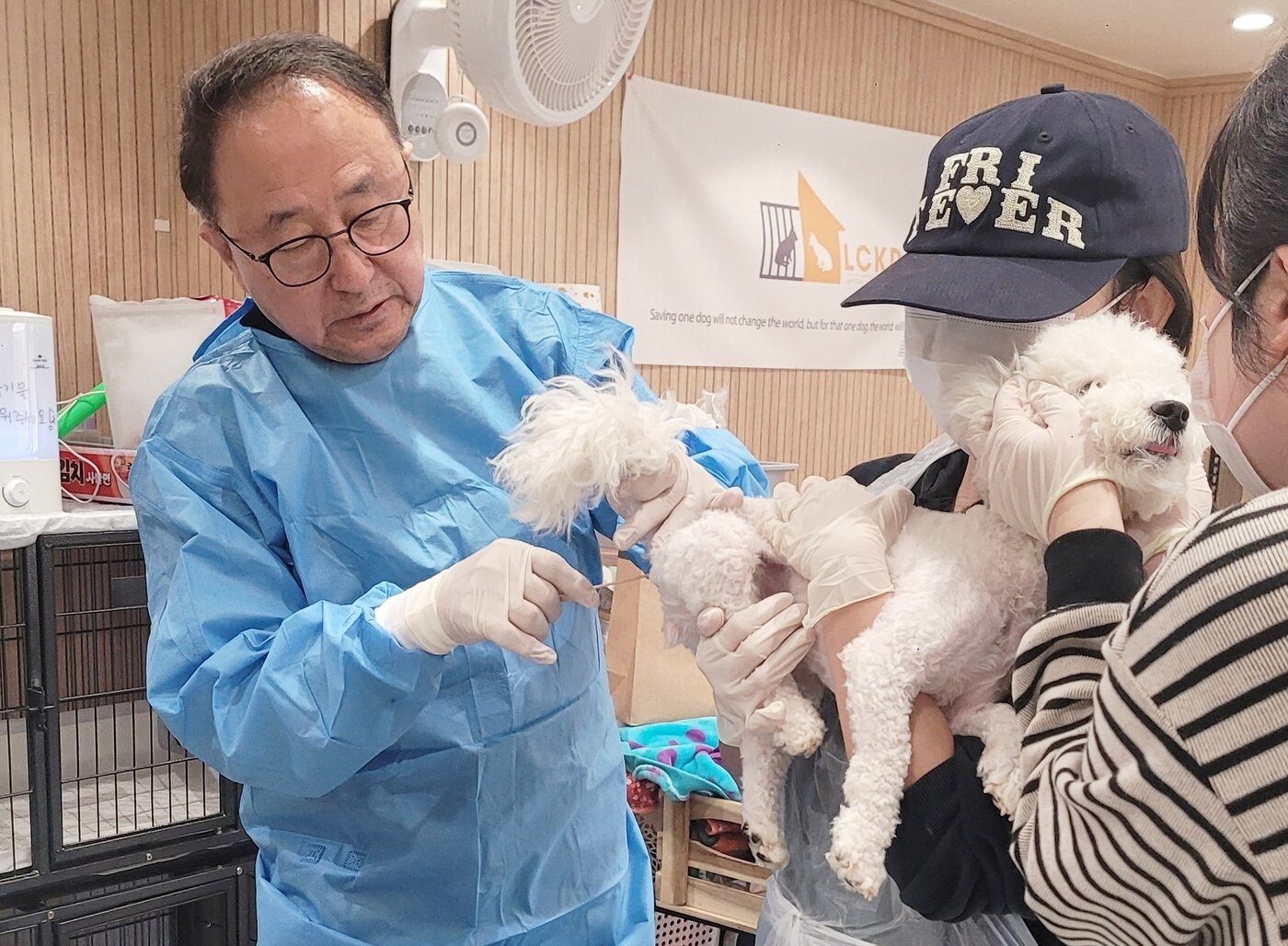 본문 이미지 - 정인성 로얄동물메디컬센터 원장이 엘씨케이디에서 수의료 봉사를 진행하고 있다(LCKD 제공). ⓒ 뉴스1