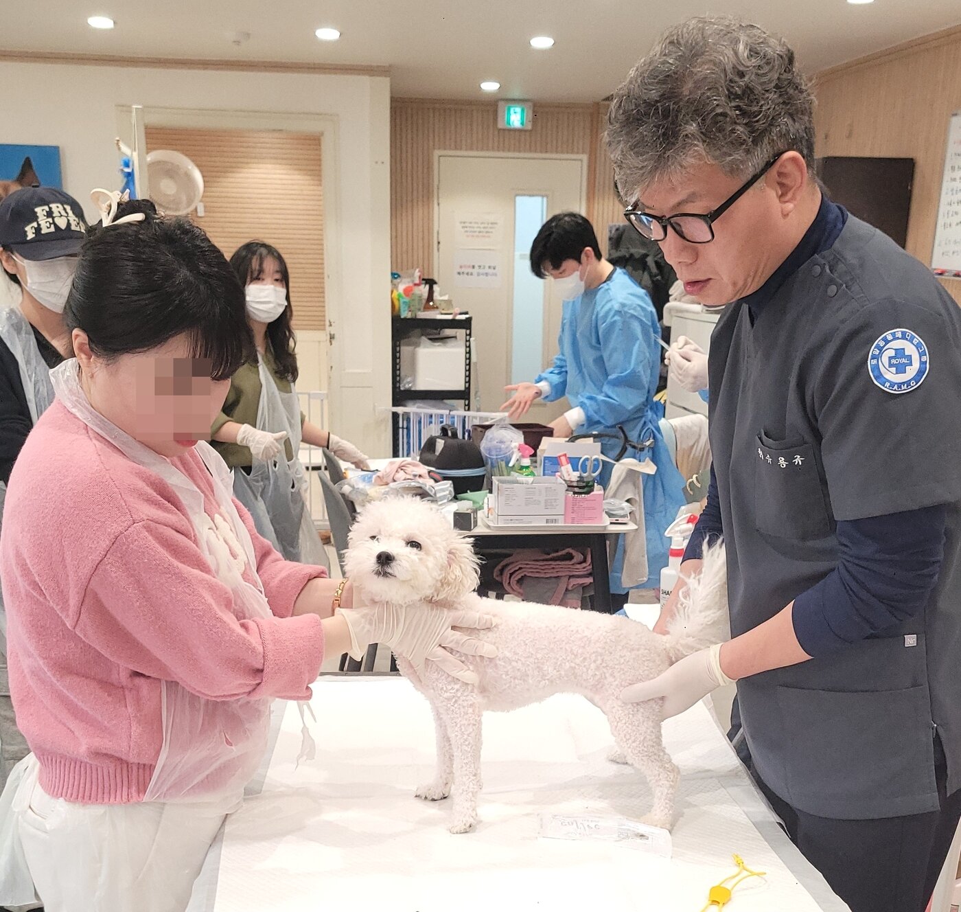 본문 이미지 - 유용규 로얄동물메디컬센터 원장이 LCKD에서 수의료 봉사를 하고 있다(LCKD 제공). ⓒ 뉴스1