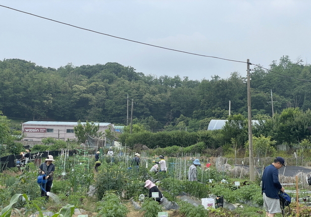 AI 시대 밭으로 향하는 사람들…서울 자치구 주말농장 인기[서울in]