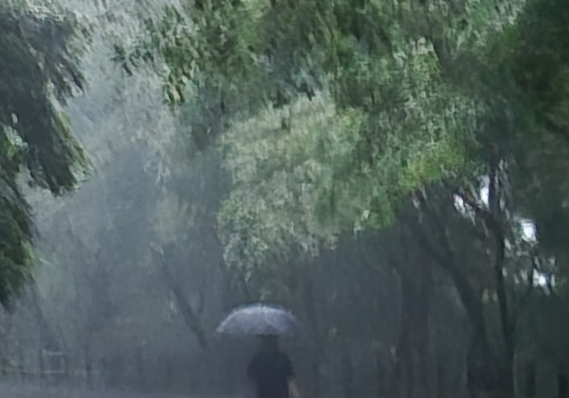 수평으로 걷는 산…오세훈의 '워킹행정'이 바꾼 남산의 풍경[서평]