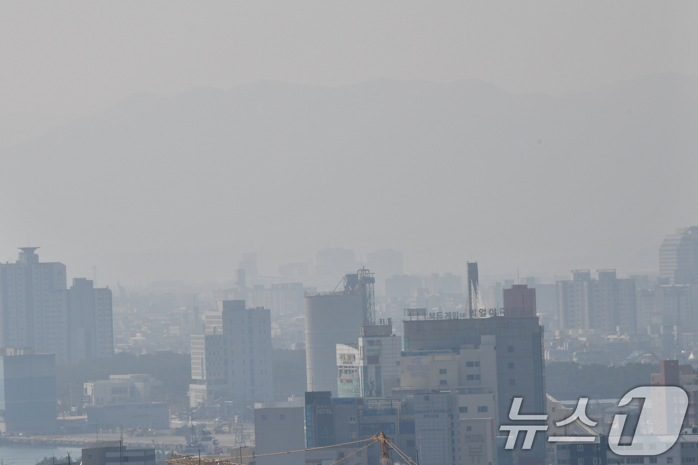 (포항=뉴스1) 최창호 기자 = 21일 경북 포항시 전역이 희뿌연 초미세먼지에 덮여있다.이날 포항지역 초미세먼지 농도는 36㎍/m³으로 나쁨 수준이다. 2026.2.21/뉴스1