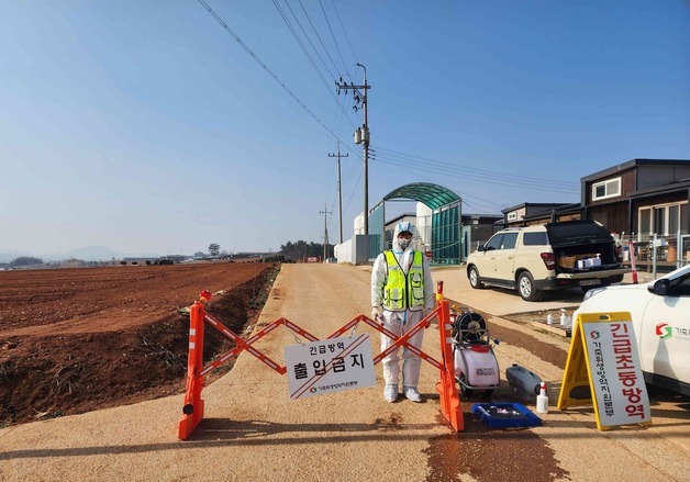 무안 양돈농장 아프리카돼지열병 확진…전남도 "확산 차단 총력"