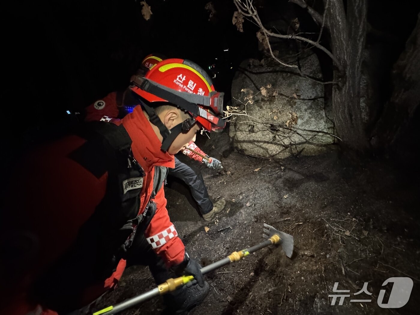 본문 이미지 - (산림청 제공. 재판매 및 DB 금지)