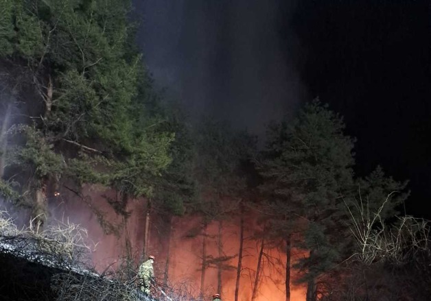 강릉 구정면서 산불…30여분 만에 진화