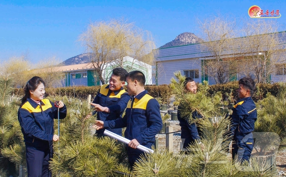 (평양 노동신문=뉴스1) = 북한 노동당 기관지 노동신문은 22일 "황해북도에서 봄철 나무심기에 필요한 나무모를 충분히 마련하기 위한 사업을 힘있게 내밀어 성과를 거두고 있다"라고 …