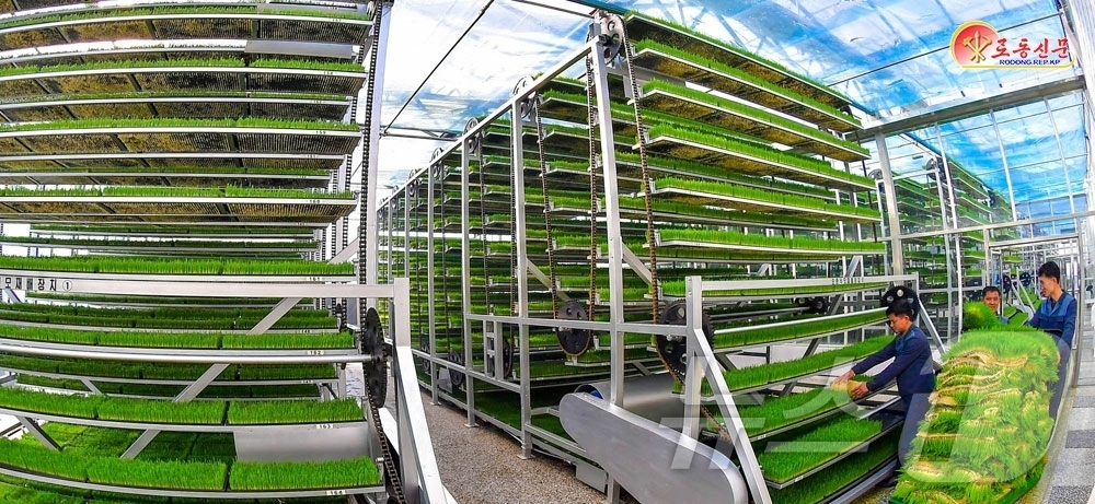 (평양 노동신문=뉴스1) = 북한 노동당 기관지 노동신문은 22일 "당의 은정 속에 우리 시대 농촌건설의 새로운 기준으로 일떠선 평안북도농촌경리위원회 삼광축산농장을 돌아본다"라며 …