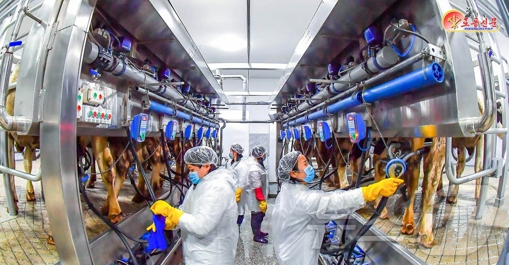 (평양 노동신문=뉴스1) = 북한 기관지 노동신문은 "평안남도 삼광리 삼광축산농장이 김정은 노동당 총비서의 지도 아래 정보화·지능화된 현대 축산과 농촌 모델로 탈바꿈했다"라고 22 …