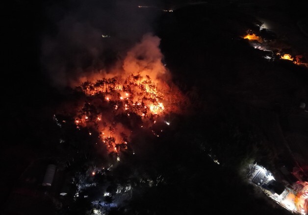 새벽 울산 성안동 야산서 불…3시간30분 만에 큰 불길 잡아