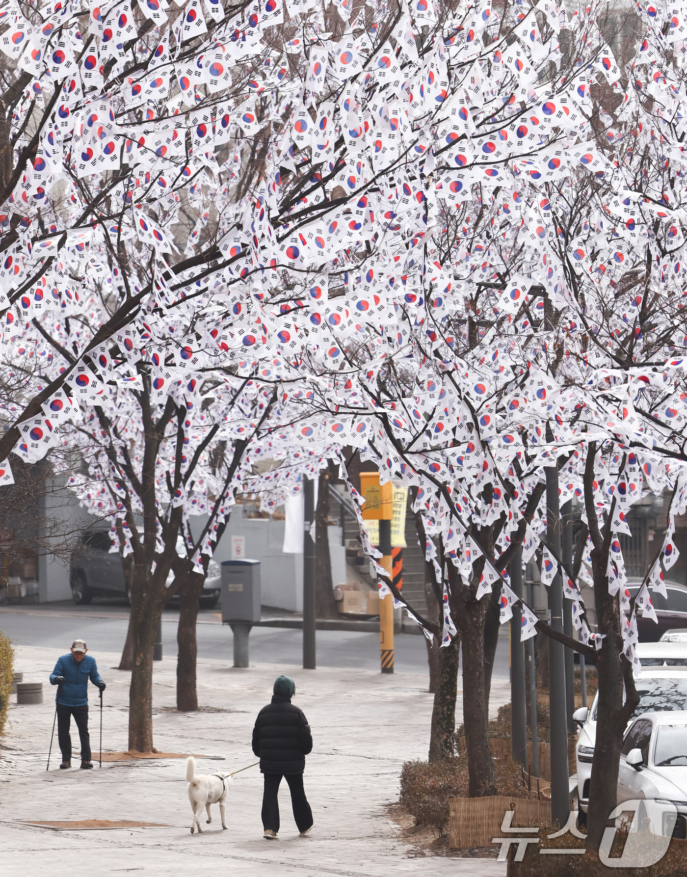 (서울=뉴스1) 최지환 기자 = 3·1절을 앞둔 22일 서울 용산구 효창공원에 조성된 '태극기 트리'에 게양된 태극기가 휘날리고 있다. 2026.2.22/뉴스1