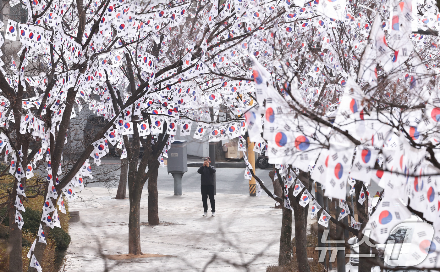 (서울=뉴스1) 최지환 기자 = 3·1절을 앞둔 22일 서울 용산구 효창공원에 조성된 '태극기 트리'에 게양된 태극기가 휘날리고 있다. 2026.2.22/뉴스1