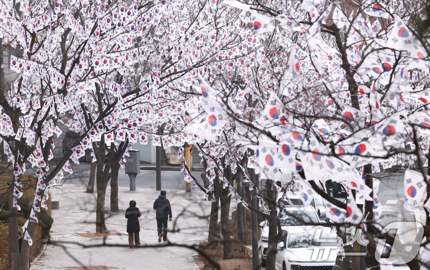 (서울=뉴스1) 최지환 기자 = 3·1절을 앞둔 22일 서울 용산구 효창공원에 조성된 '태극기 트리'에 게양된 태극기가 휘날리고 있다. 2026.2.22/뉴스1