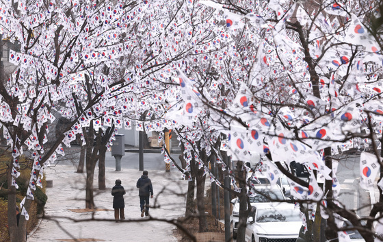 삼일절 앞두고 조성된 태극기 거리