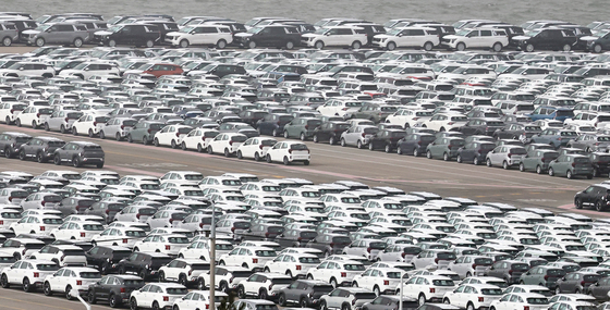 평택항에 세워진 수출 차량