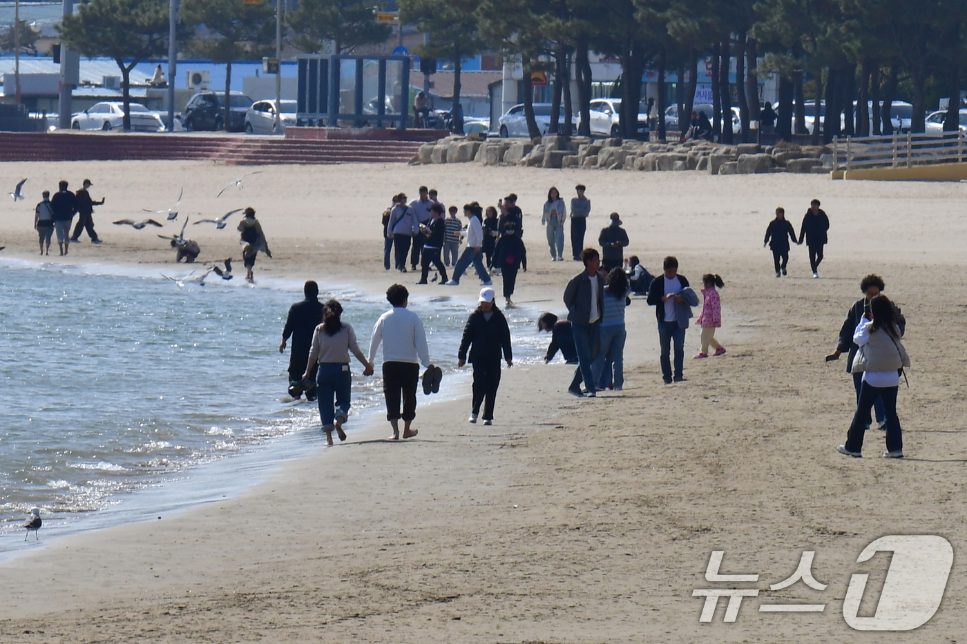 (포항=뉴스1) 최창호 기자 = 22일 오후 경북 포항시 낮 최고 기온이 22도까지 올라가자 북구 영일대해수욕장을 찾은 시민들과 관광객들이 가벼운 옷차림으로 백사장을 걷고 있다. …