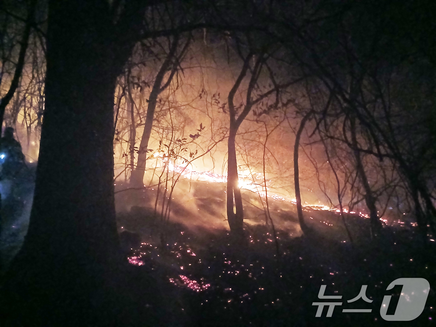 (서울=뉴스1) = 지난 21일 경남 함양군 마천면 창원리 야산에 불이나 연기가 피어오르고 있다. (경남소방본부 제공. 재판매 및 DB 금지) 2026.2.22/뉴스1