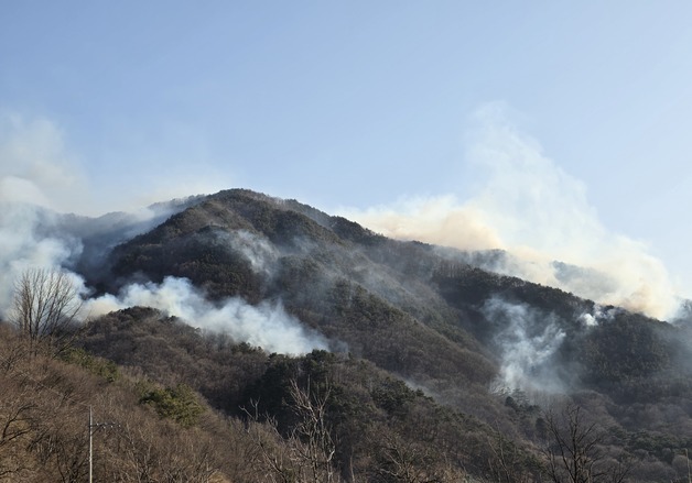 함양 산불 진화율 떨어져 66→48%…"강풍에 불씨 살아나"