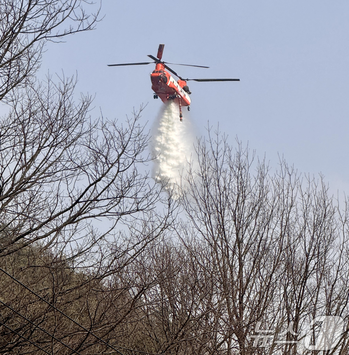 (함양=뉴스1) 최창호 기자 = 22일 오후 경남 함양군 산불현장에서 담수량 1만 리터급 산림청 산불 진화헬기인 치누크 헬기가 물을 쏟아붓고 있다. (산림청 제공, 재판매 및 DB …