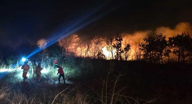 강원 고성군 토성면 한 리조트 주변서 불…대피 중