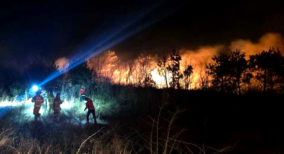 강원 고성 야산서 산불 확산…주민 대피령·소방당국 2단계 대응(종합)
