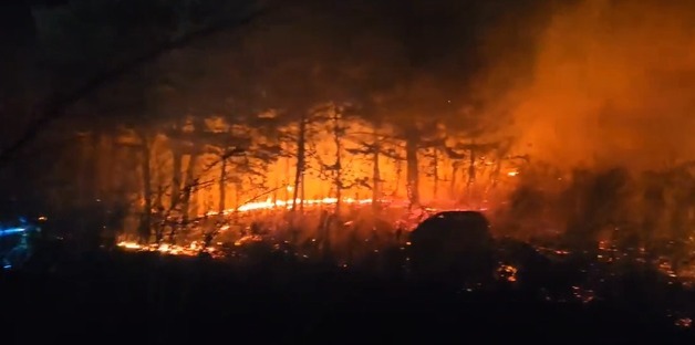 강원 고성 산불 대응 2단계 격상…관광객·주민 대피 조치