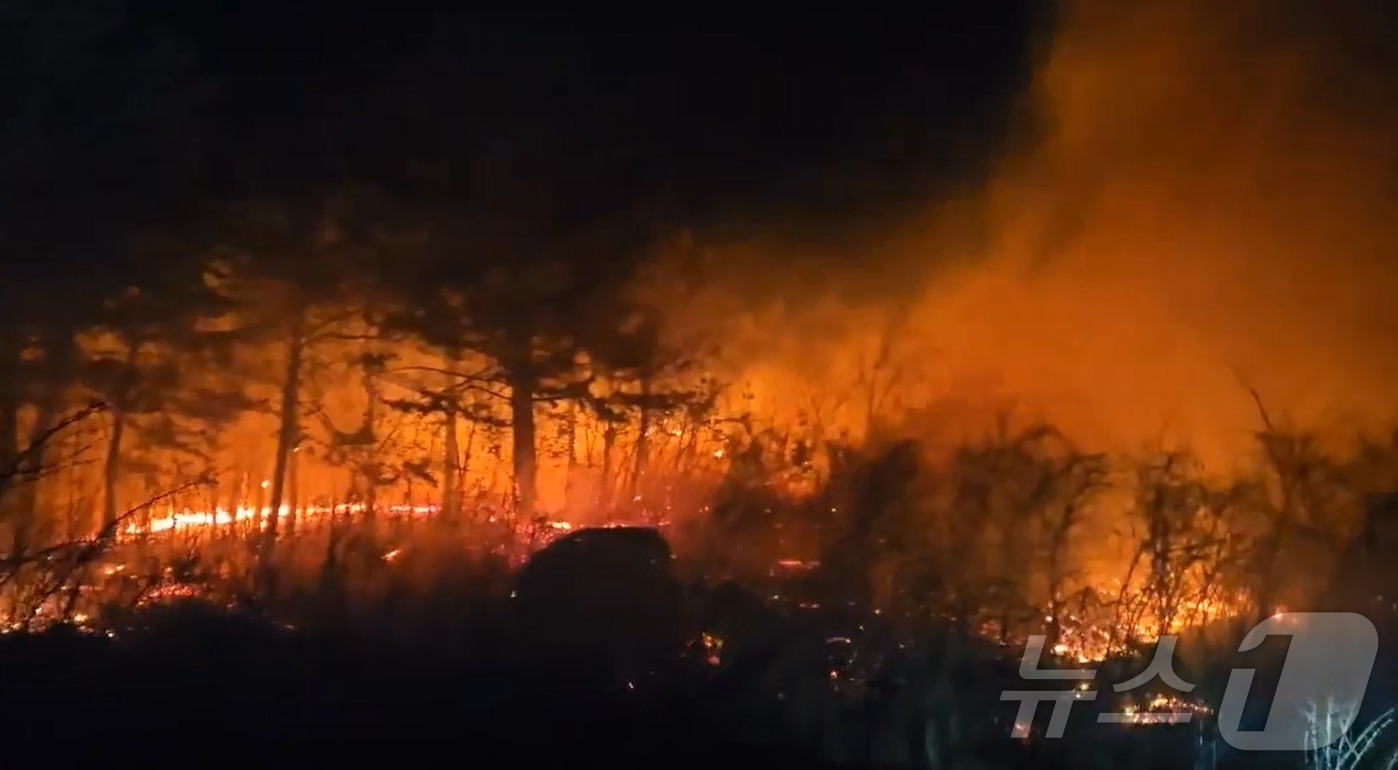(고성=뉴스1) 신관호 기자 = 22일 오후 7시 22분쯤 강원 고성군 토성면에서 산불이 발생해 주민 대피 조치가 이뤄진 가운데 소방 당국이 대응 2단계 발령하고 인력과 장비를 동 …