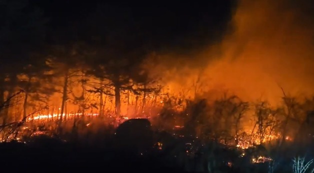 강원도 "산불 위반행위 예외 없어"…봄철 단속·과태료 강화