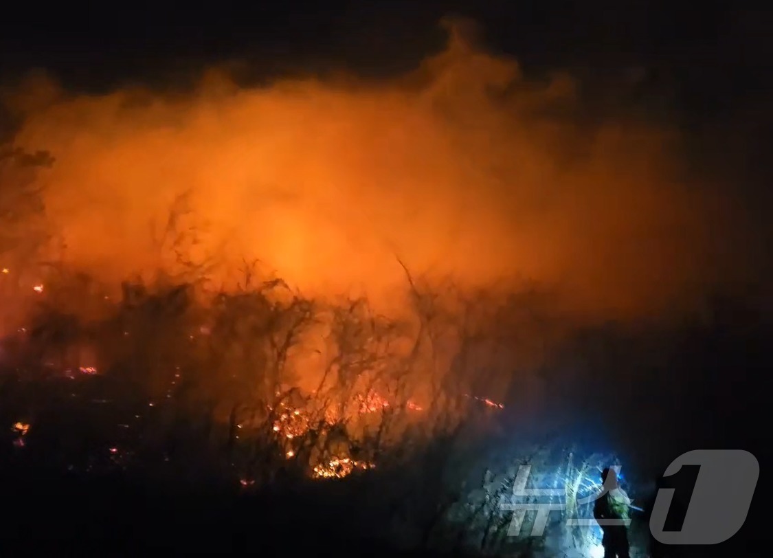 (고성=뉴스1) 신관호 기자 = 22일 오후 7시 22분쯤 강원 고성군 토성면에서 산불이 발생해 주민 대피 조치가 이뤄진 가운데 소방 당국이 대응 2단계 발령하고 인력과 장비를 동 …