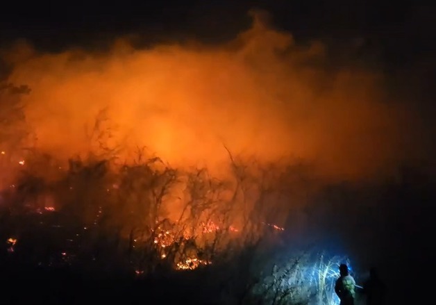 강원 고성 산불 1시간53분 만에 진화…산림·소방, 화인 조사중(종합)