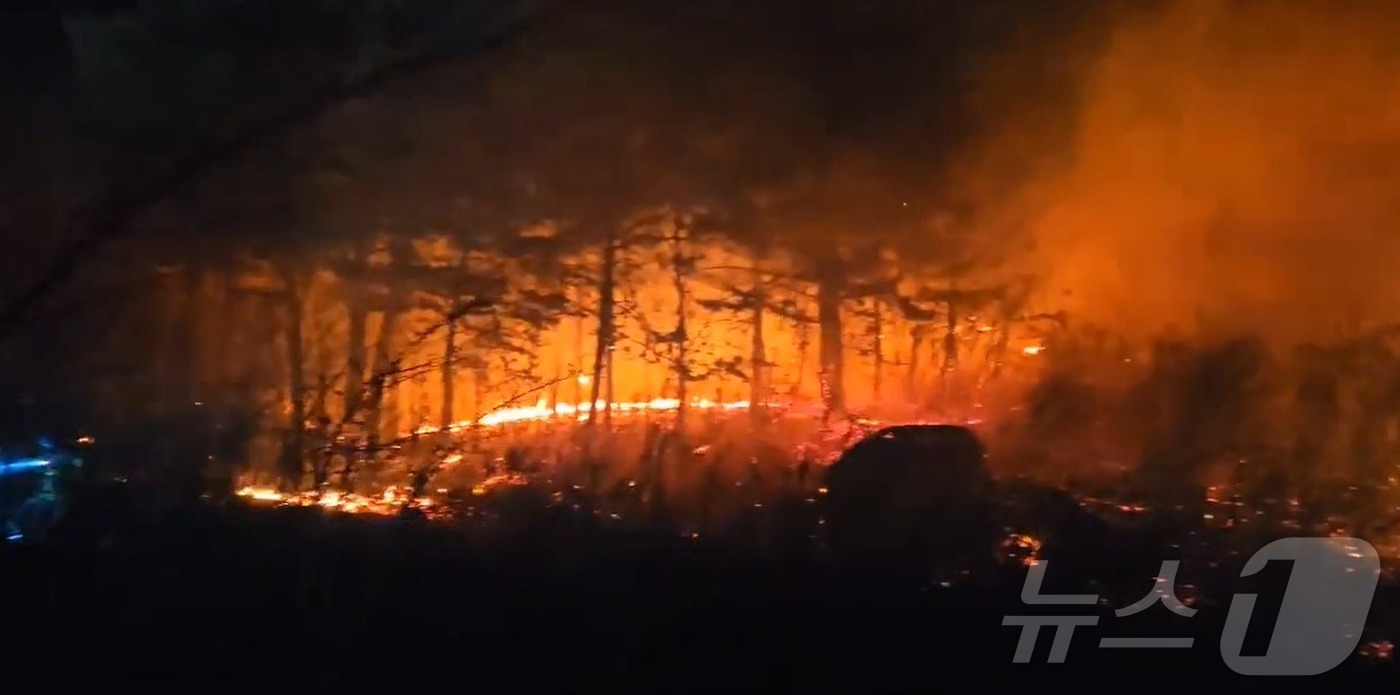 (고성=뉴스1) 신관호 기자 = 22일 오후 7시 22분쯤 강원 고성군 토성면에서 산불이 발생해 주민 대피 조치가 이뤄진 가운데 소방 당국이 대응 2단계 발령하고 인력과 장비를 동 …