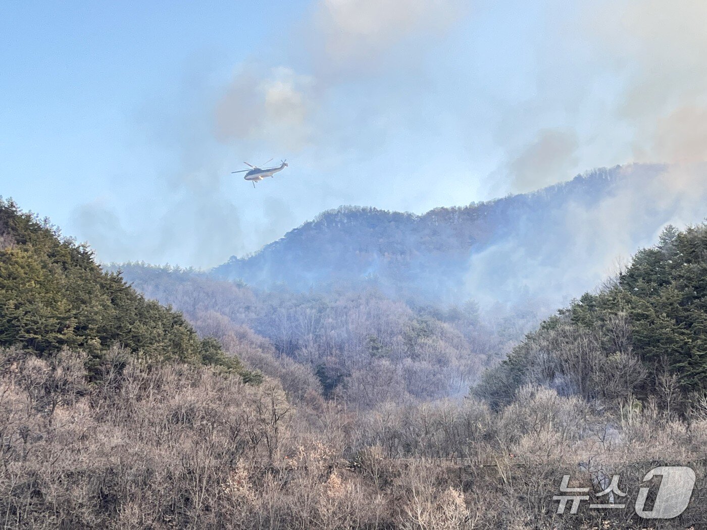 본문 이미지 - 단양군 장림리 산불 현장에서 진화 헬기가 투입돼 진화 작전을 벌이고 있다.(단양군 제공. 재판매 및 DB금지) /뉴스1   