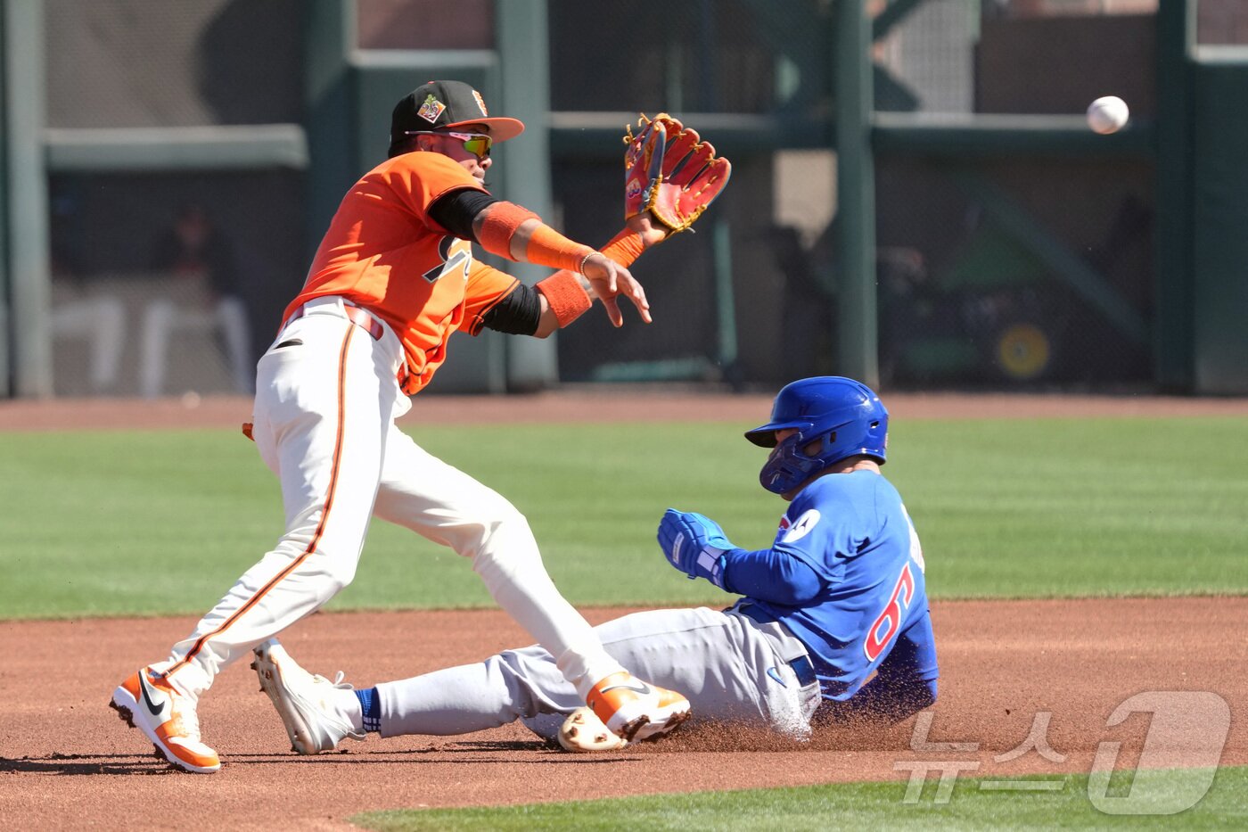 본문 이미지 - 샌프란시스코 자이언츠는 23일(한국시간) 열린 2026 메이저리그 시범경기에서 시카고 컵스에 4-2로 이겼다. ⓒ 로이터=뉴스1