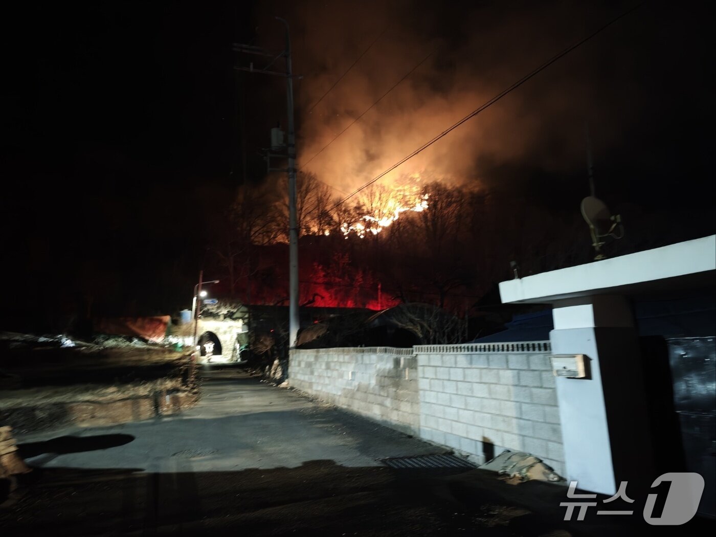 본문 이미지 - 충북 단양군 대강면 장림리의 한 야산에서 발생한 산불.(단양소방서 제공. 재판매 및 DB금지) /뉴스1 