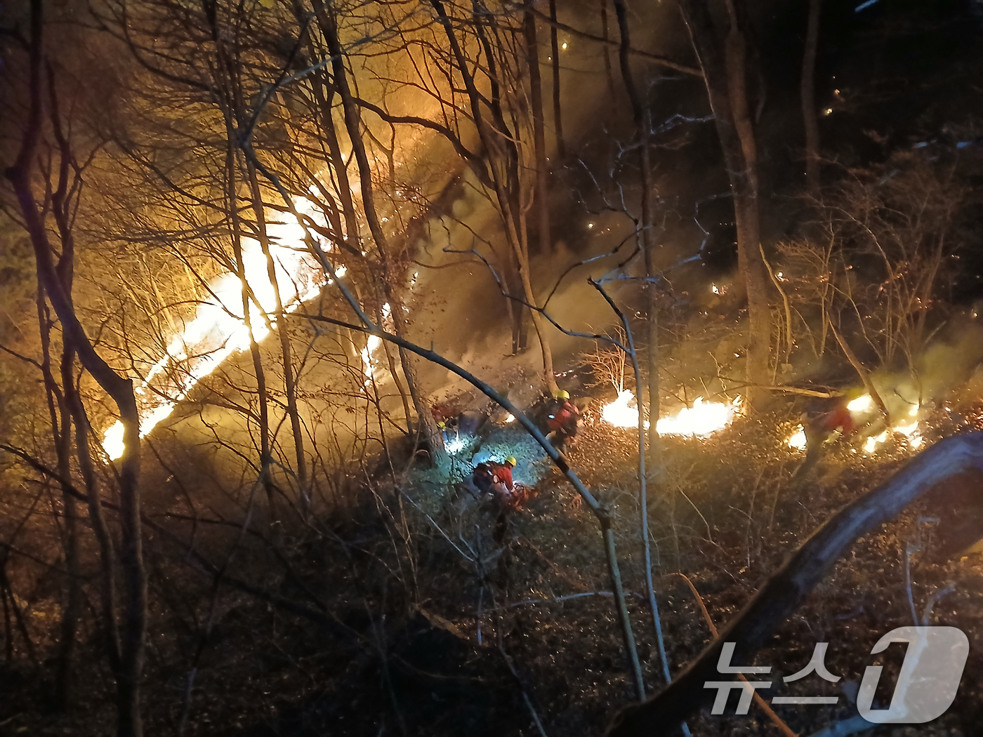 (함양=뉴스1) 윤일지 기자 = 경남 함양 산불 사흘째인 23일 새벽 함양군 마천면 일대에서 산림당국이 산불 진화 작업을 벌이고 있다. (산림청 제공. 재판매 및 DB 금지) 20 …