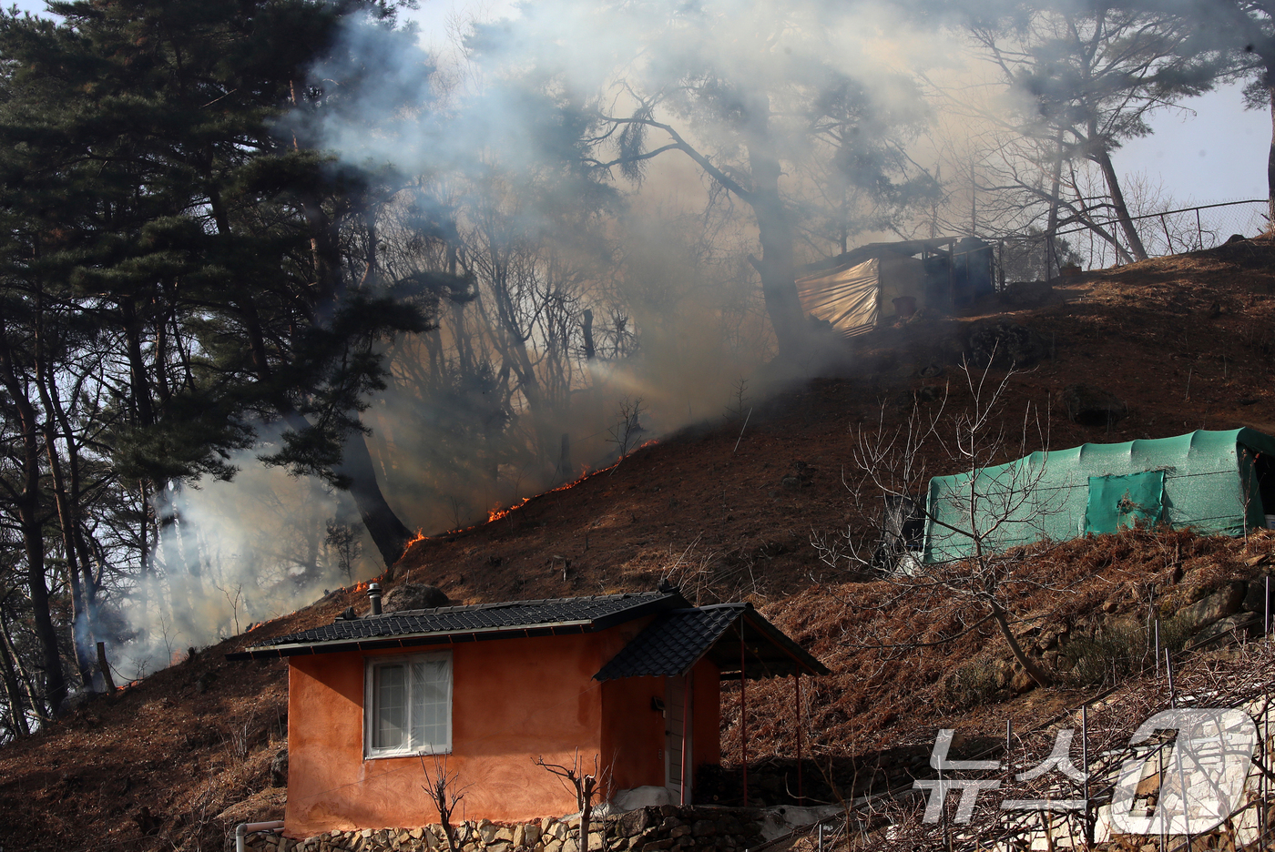 (함양=뉴스1) 윤일지 기자 = 23일 오전 함양군 산불이 휴천면 백연마을까지 근접해 있다. 2026.2.23/뉴스1