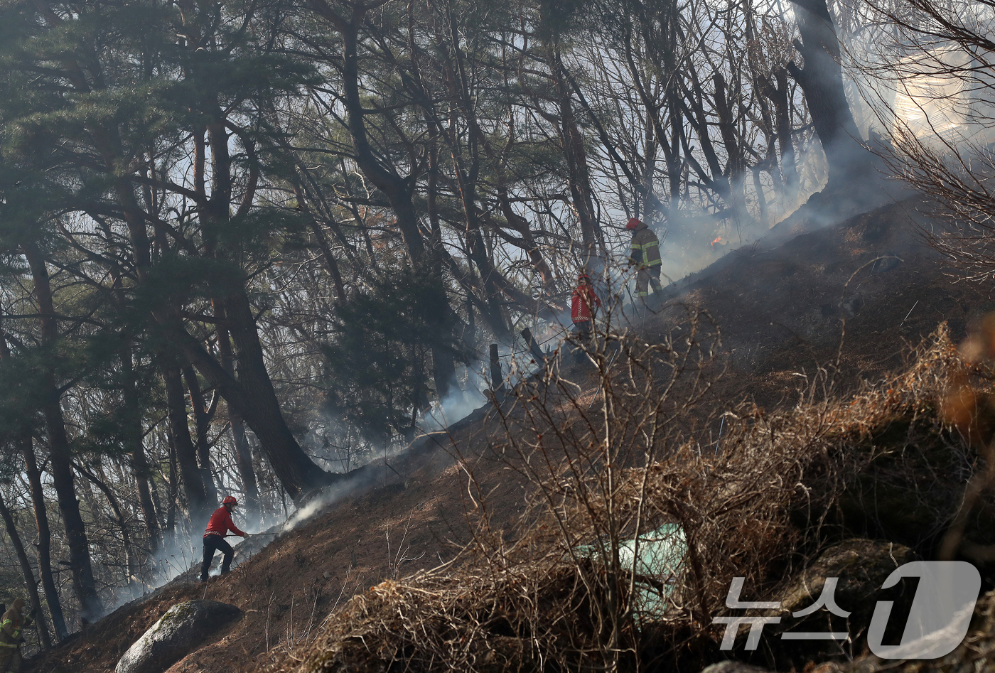 (함양=뉴스1) 윤일지 기자 = 경남 함양 산불 사흘째인 23일 오전 함양군 마천면 산불 현장에서 소방대원이 방화선을 구축하며 진화 작업을 벌이고 있다.  2026.2.23/뉴스1 …