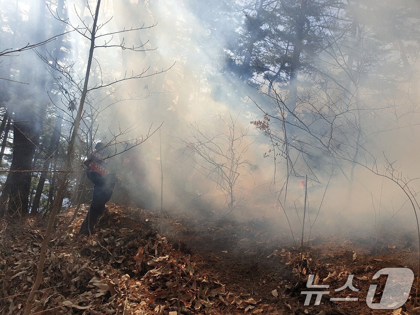 본문 이미지 - 경남 함양 산불 사흘째인 23일 오전 함양군 마천면 산불 현장에서 산림청 산불재난특수진화대원들이 방화선을 구축하며 진화 작업을 벌이고 있다. (산림청 제공. 재판매 및 DB 금지) 2026.2.23 ⓒ 뉴스1 윤일지 기자