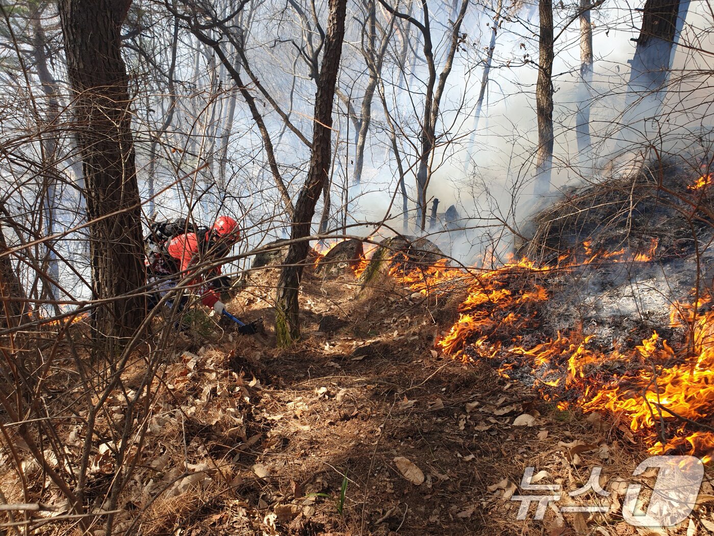 본문 이미지 - 경남 함양 산불 사흘째인 23일 오전 함양군 마천면 산불 현장에서 산림청 산불재난특수진화대원들이 방화선을 구축하며 진화 작업을 벌이고 있다. (산림청 제공. 재판매 및 DB 금지) 2026.2.23 ⓒ 뉴스1 윤일지 기자