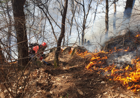 함양 산불 진화율 96%…산불영향구역 축구장 327개 규모