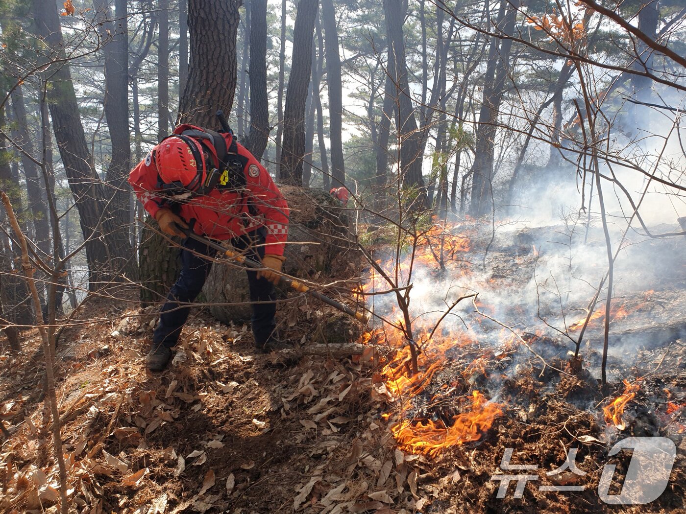 본문 이미지 - 경남 함양 산불 사흘째인 23일 오전 함양군 마천면 산불 현장에서 산림청 산불재난특수진화대원들이 방화선을 구축하며 진화 작업을 벌이고 있다. (산림청 제공. 재판매 및 DB 금지) 2026.2.23 ⓒ 뉴스1 윤일지 기자