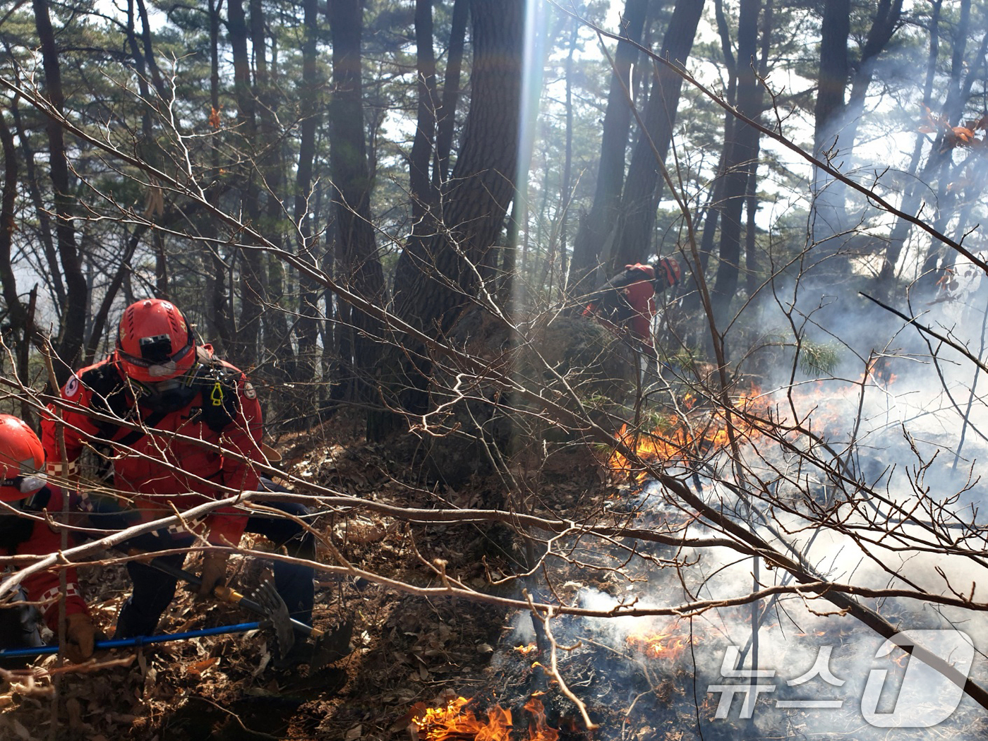 (함양=뉴스1) 윤일지 기자 = 경남 함양 산불 사흘째인 23일 오전 함양군 마천면 산불 현장에서 산림청 산불재난특수진화대원들이 방화선을 구축하며 진화 작업을 벌이고 있다. (산림 …