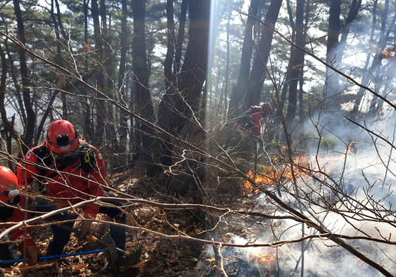 방화선 구축하는 산림청 산불재난특수진화대원