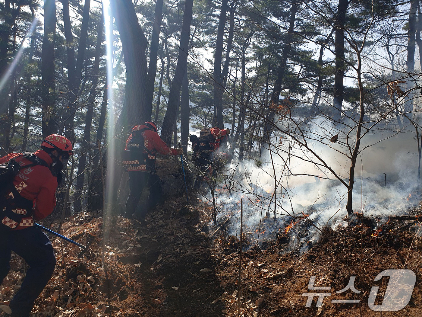 (함양=뉴스1) 윤일지 기자 = 경남 함양 산불 사흘째인 23일 오전 함양군 마천면 산불 현장에서 산림청 산불재난특수진화대원들이 방화선을 구축하며 진화 작업을 벌이고 있다. (산림 …