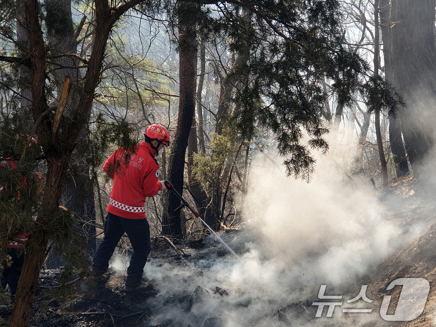 (함양=뉴스1) 윤일지 기자 = 경남 함양 산불 사흘째인 23일 오전 함양군 마천면 산불 현장에서 산림청 산불재난특수진화대원들이 방화선을 구축하며 진화 작업을 벌이고 있다. (산림 …