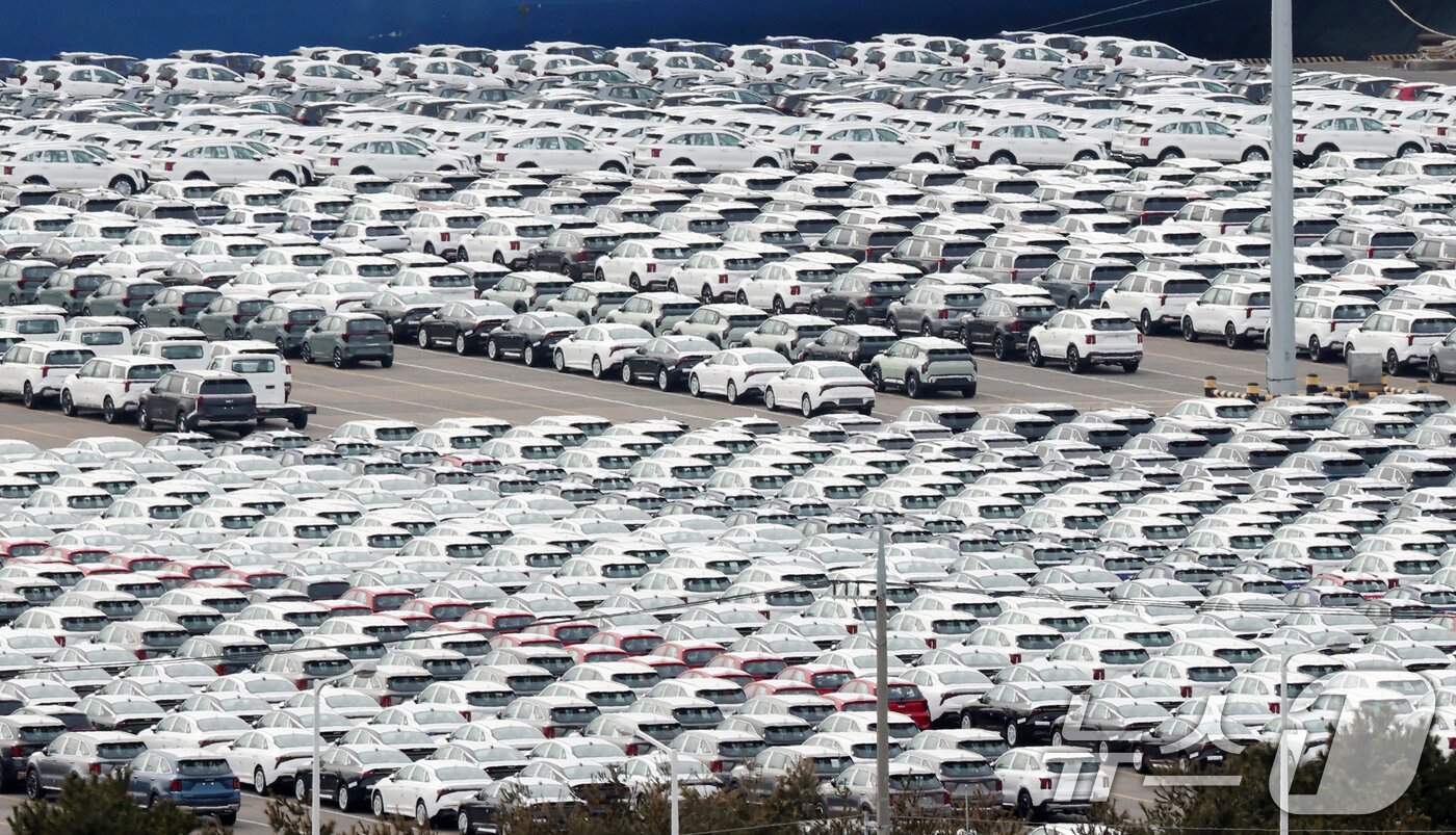 본문 이미지 - 경기 평택시 포승읍 평택항에 수출용 자동차가 세워져 있는 모습. 2026.2.23 ⓒ 뉴스1 김영운 기자