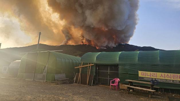 밀양 산불 확산 '국가소방동원령'…주민 대피, 헬기 9대 진화 중(종합)
