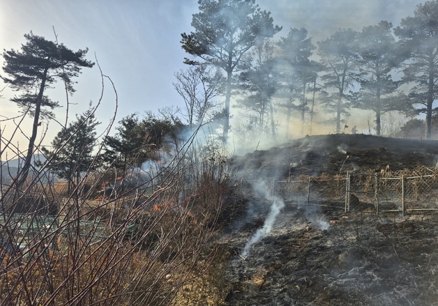 순천 상사면 호사산 산불…임야 0.5㏊ 소실(종합2보)