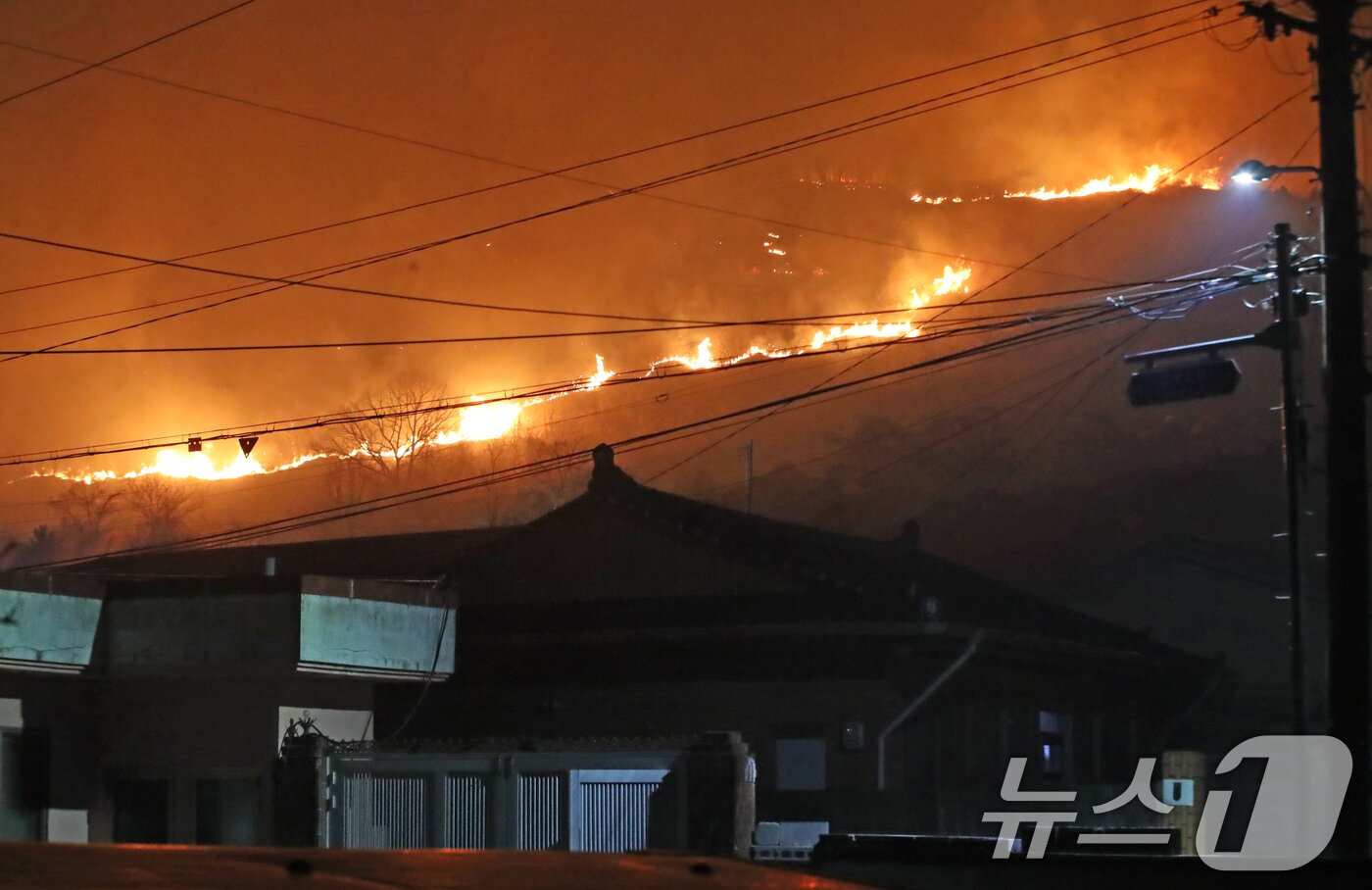 본문 이미지 - 23일 오후 경남 밀양 삼랑진읍 검세리 한 야산에서 발생한 산불이 강풍에 확산되고 있다. 2026.2.23 ⓒ 뉴스1 윤일지 기자